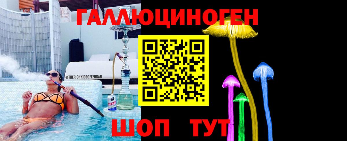 Североморск  Галлюциногенные грибы Cubensis  Вход с VPN 